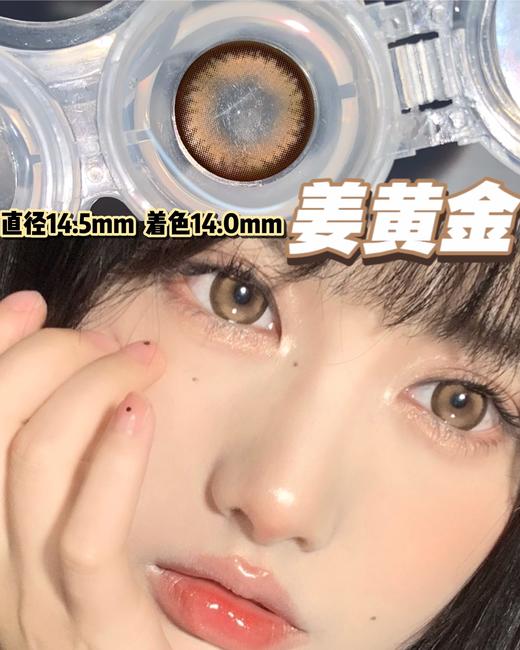 cococon 日抛 姜黄金 直径14.5mm着色14.0mm 商品图3