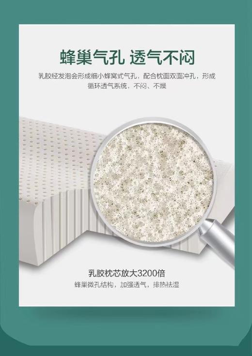 泰国乳胶枕成人曲线款 商品图5