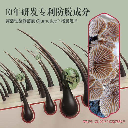 荷馨白参菌育发增发密发固发修护滋养强韧蓬松洗发露 商品图1