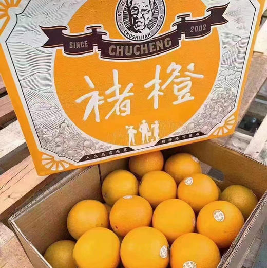 正宗褚橙🍊一‭年一度‭励志褚‭橙“‭高‬甜‭”归来‬‭‭与你‬一‬同逆‬风而‭上，心之所‭‬向“破风”‬前往人生‭总‭有起‭‬‭落 精‬‭‬神‬终可传橙 商品图1