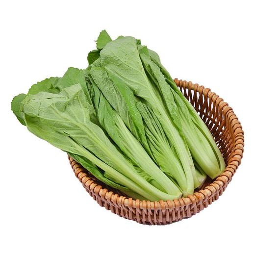 每日伊藤芥菜 约200g/袋 商品图0