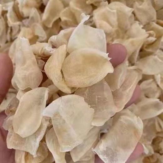 【海南特产】鲤鲤美淡晒鱼胶100g 商品图2