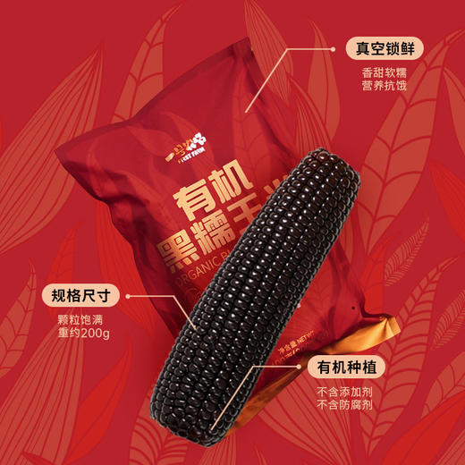 一号农场【有机黑糯玉米】新鲜真空锁鲜软糯鲜甜健康粗粮1.6KG 商品图1