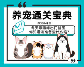 冬天带猫咪出门就医，你知道该准备些什么吗？