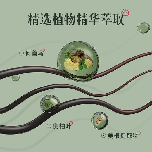 荷馨白参菌育发洗发水 商品图2