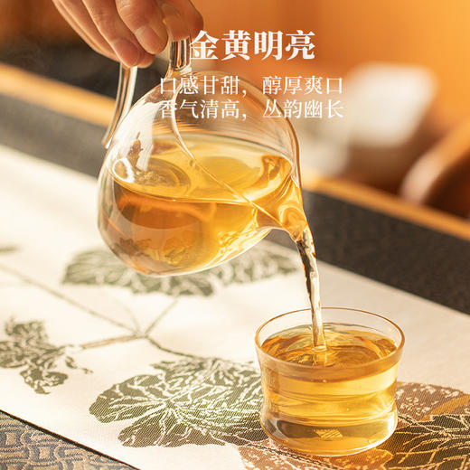 亿筐茶 100g红场单丛泡袋茶 商品图3