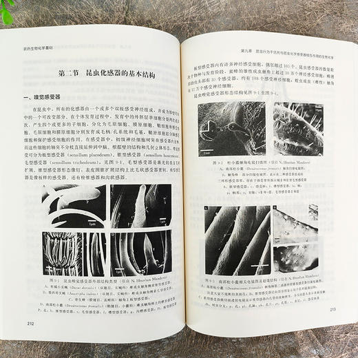 农药生物化学基础 商品图6