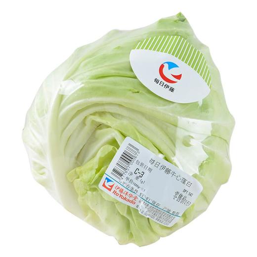 每日伊藤牛心莲白 约500g/份 商品图0
