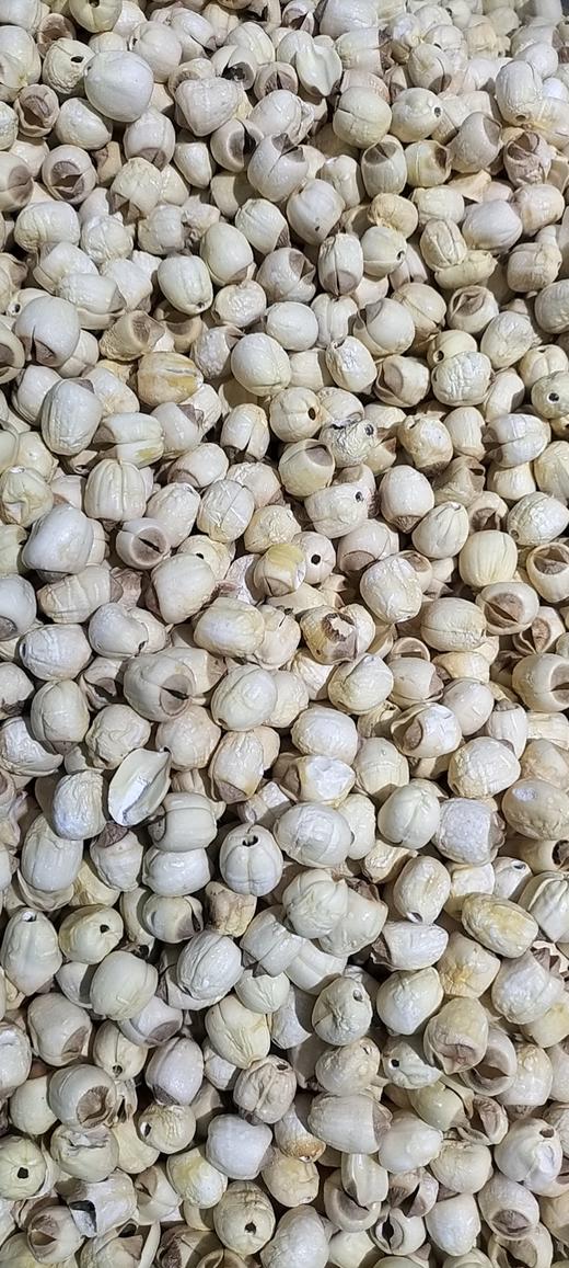 黄莲子 商品图0