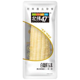 北纬47度白糯玉米 约220g/袋