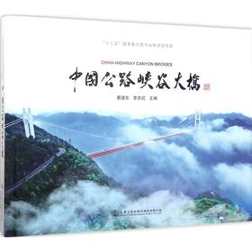 中国公路峡谷大桥