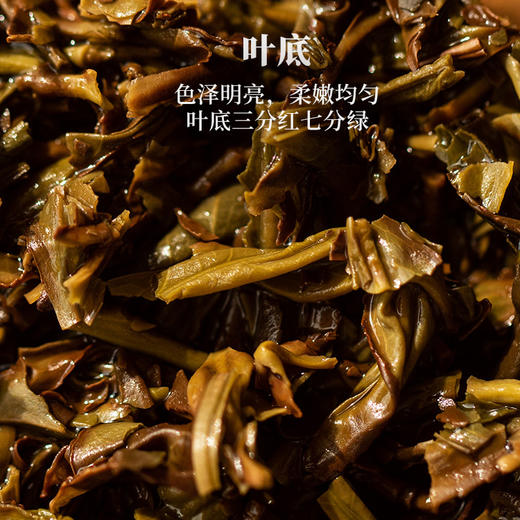 亿筐茶 100g红场单丛泡袋茶 商品图2
