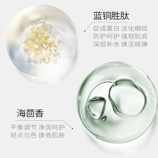 JOVISSE海茴香蓝铜胜肽抗皱面膜 商品图2