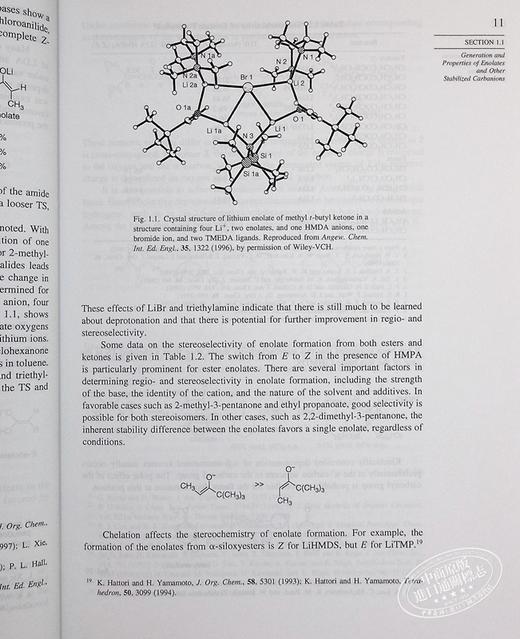 【中商原版】高等有机化学 下 Advanced Organic Chemistry Part B Reaction and Synthesis 英文原版 Damiano Brigo 商品图8