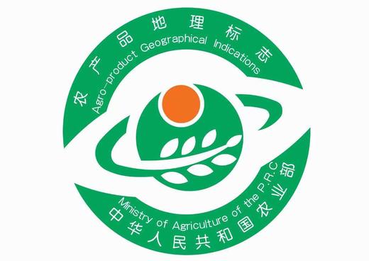 【新客尝鲜】回民街伊辉手撕风干黄牛肉干60g试吃装 商品图2