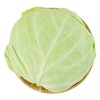 每日伊藤莲白 约500g/份 商品缩略图1