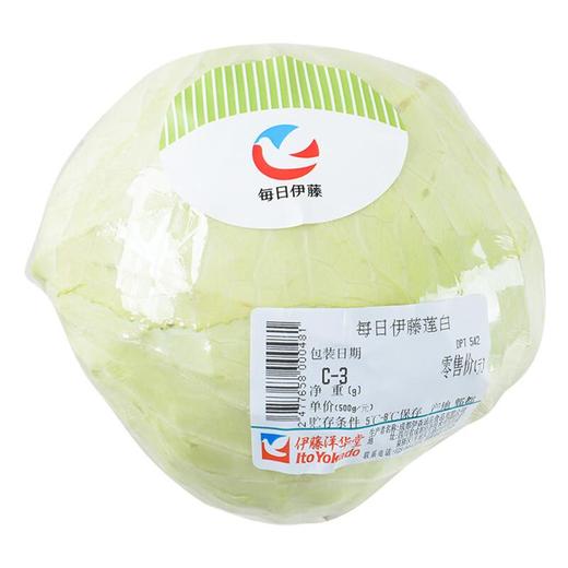 每日伊藤莲白 约500g/份 商品图4
