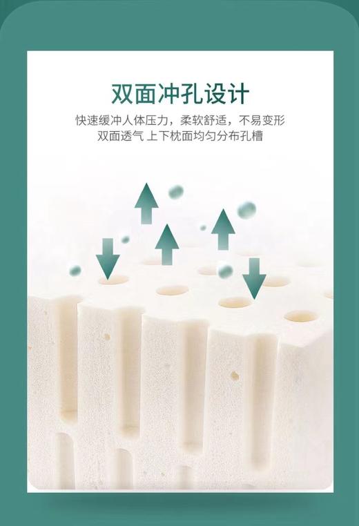 泰国乳胶枕成人曲线款 商品图4