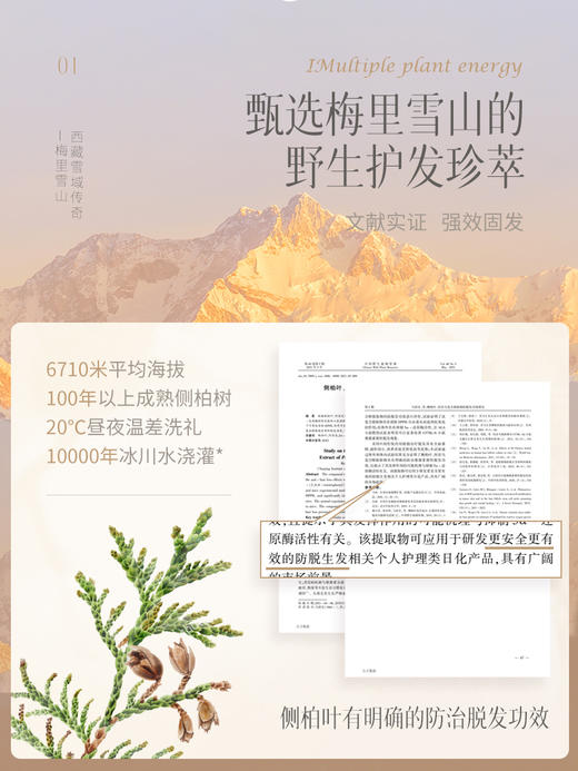 品质国货！【买一送一】诗朗防脱育发型洗发露 防脱育发 控油去屑 不含硅油香水级香氛 500ml/瓶 商品图4