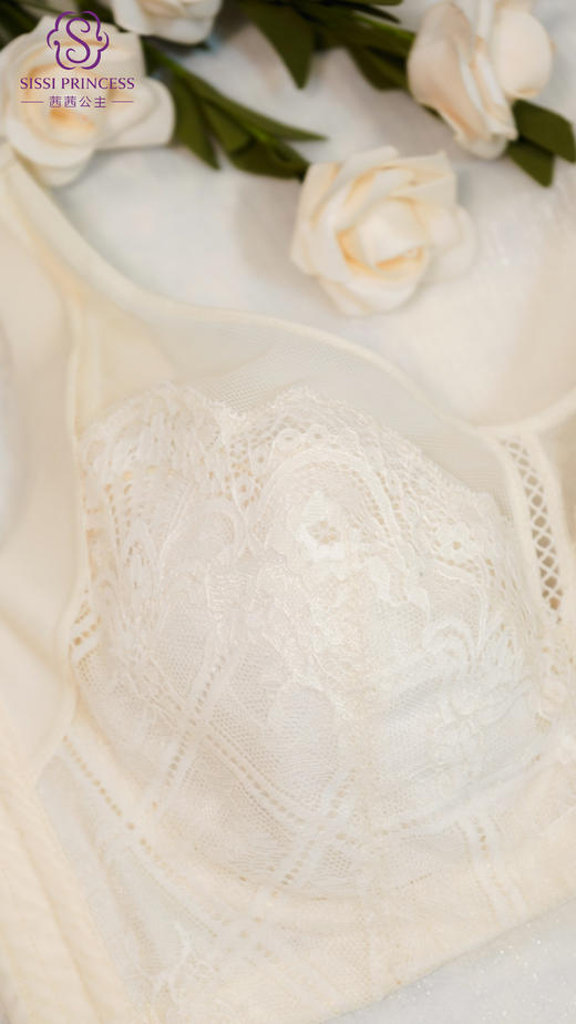 小胸显大 中胸聚拢 收副乳 风光旖旎调整型文胸 商品图2