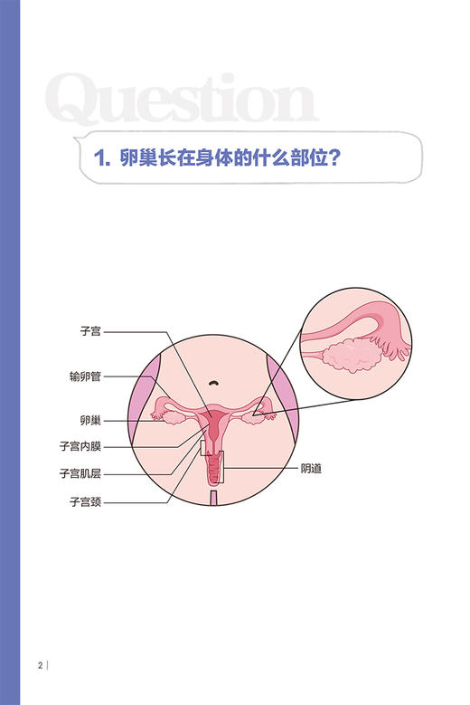 现货 卵巢癌百问百答 刘继红主编 卵巢及卵巢癌基础知识手术治疗化疗 妇产科初级入门指导用书 科普书 人民卫生出版社9787117335195 商品图4