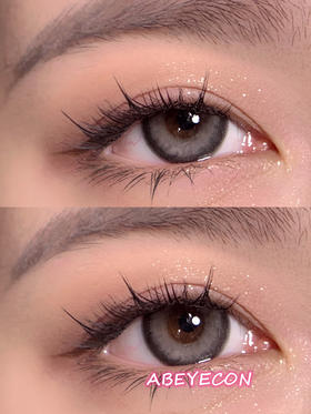  高光黑灰【日抛·十片装】编号C16