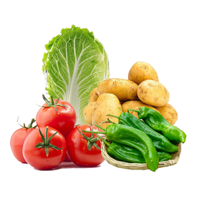 “武供销”蔬菜信息