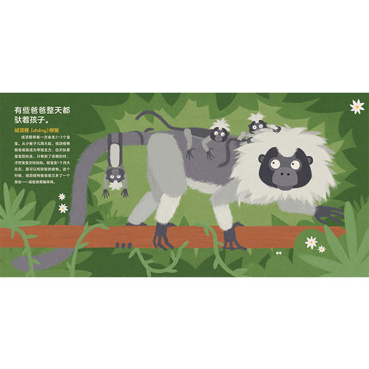 和爸爸一起读的动物亲子绘本 商品图4