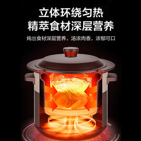 美的（Midea）电炖锅电炖盅养生锅4L大容量南都陶釜内胆陶瓷煲汤煮粥电砂锅家用预约全自动WTGS401