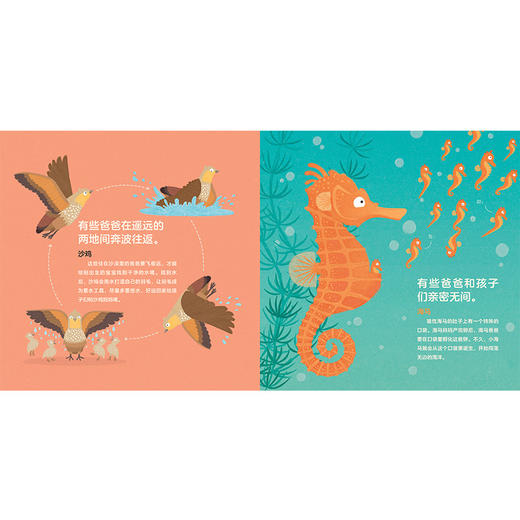 和爸爸一起读的动物亲子绘本 商品图1