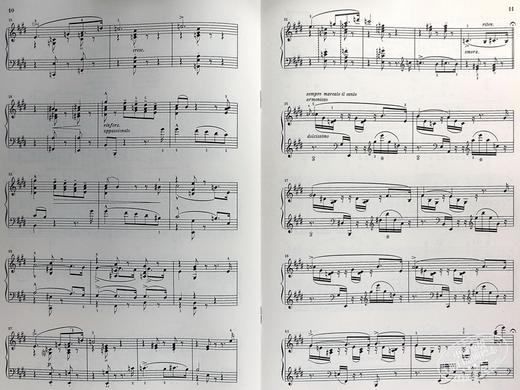 【中商原版】Liebestrume, 3 Notturnos 进口艺术 李斯特 爱之梦 三首夜曲 钢琴独奏 带指法 商品图6