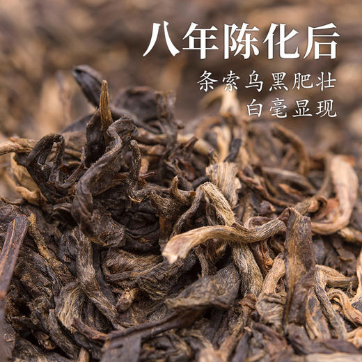 【名山名寨系列】斗记 2015年布朗山春茶 八年陈 普洱生茶 357g/饼（天猫同款） 商品图1