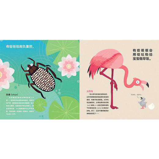 和爸爸一起读的动物亲子绘本 商品图3