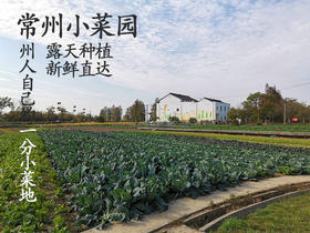精美小菜园 一分地一年认养A