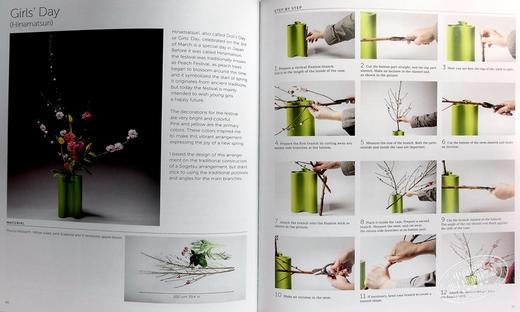 【中商原版】Inspiring Ikebana 进口艺术 鼓舞人心的花道 Acc Art Books 商品图5