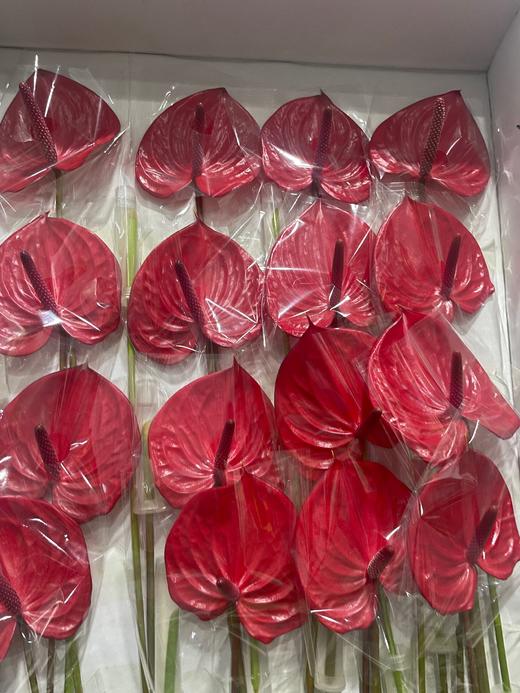 【绿光彩掌】 真爱  单枝 商品图3