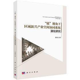 “链”视角下区域新兴产业空间协同系统演化研究/李进兵