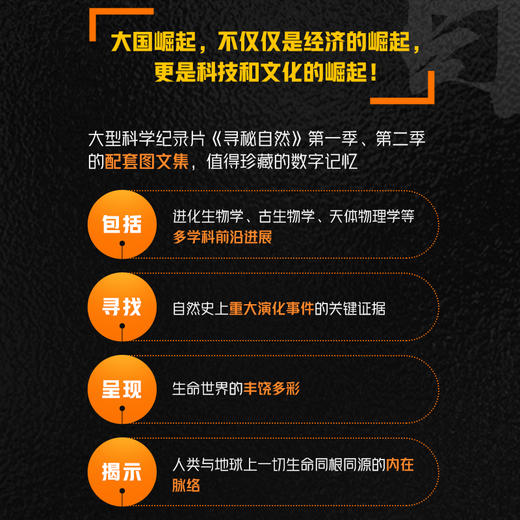 寻秘自然 秒懂自然运转的奥秘 科学科普书 自然百科全书 动物植物宇宙自然现象 科学新知自然探秘 自然界的视觉盛宴 商品图3