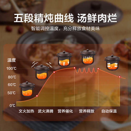 美的（Midea）电炖锅电炖盅养生锅4L大容量南都陶釜内胆陶瓷煲汤煮粥电砂锅家用预约全自动WTGS401 商品图3