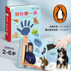 蒙台梭利早教启蒙书 到处摸一摸 3-6岁 尼古拉·爱德华兹 著 幼儿启蒙 商品缩略图3