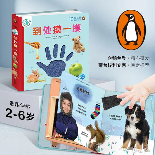 蒙台梭利早教启蒙书 到处摸一摸 3-6岁 尼古拉·爱德华兹 著 幼儿启蒙 商品图3