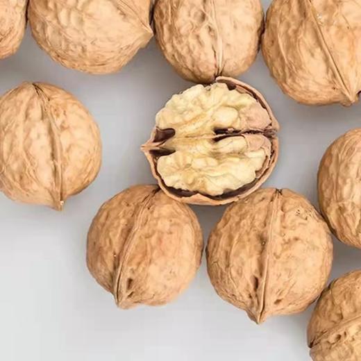 贵州精选薄壳核桃500g 商品图2