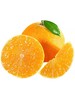 赣南脐橙480g-520g 商品缩略图1