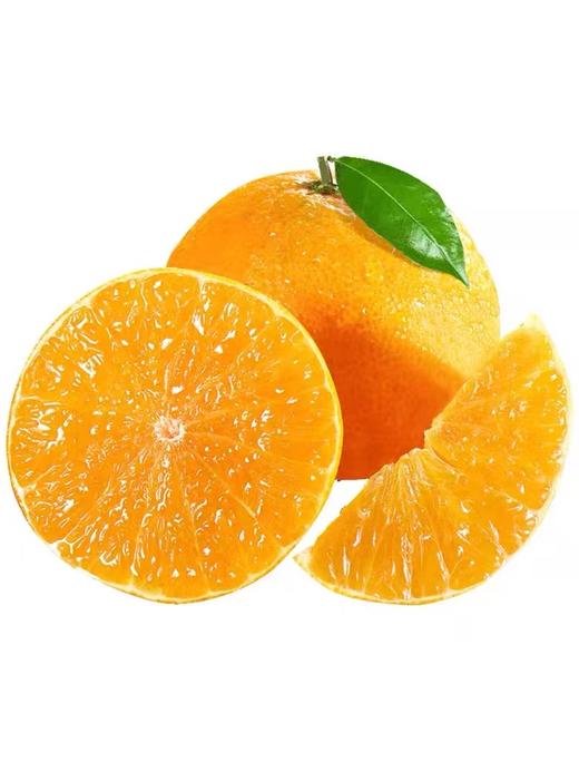 赣南脐橙480g-520g 商品图1