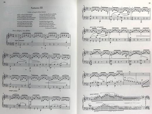 【中商原版】Liebestrume, 3 Notturnos 进口艺术 李斯特 爱之梦 三首夜曲 钢琴独奏 带指法 商品图7