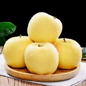 【烟台黄金奶油富士苹果】维纳斯黄金苹果 甜蜜无渣 脆香可口 多汁味浓