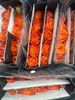 【昆明玫瑰】~国王日 橙色  20枝/扎  约60公分 商品缩略图4