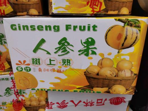 人参果一箱25元五斤装 商品图0