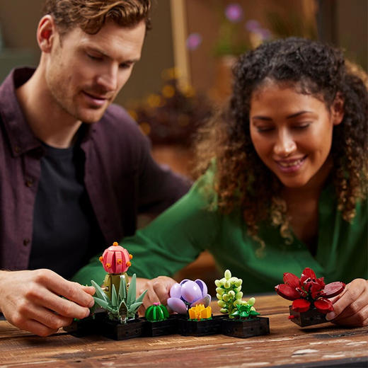 乐高LEGO LEGO肉质植物LEGC10309 商品图3