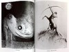【中商原版】The Graphic Works of Odilon Redon 进口艺术 odilon redon的图形作品 商品缩略图7